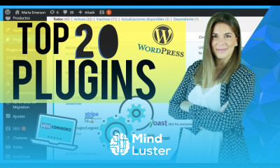 20 Mejores Plugins para WordPress  Herramientas Negocio Online