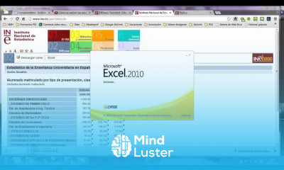 umh1263 2012 13 Lec003 Qué es el INE Obtener información