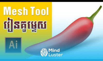Speak Khmer How to use Mesh Tool in Adobe illustrator cc 2017 Cambo repeat