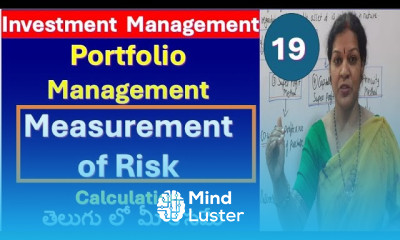 19 Calculation of Measurement of Risk from Portfolio Management