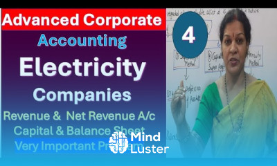 4 Revenue A c Net Revenue A c Capital A c Balance Sheet in One Problem from Electricity Company