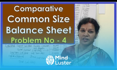 Comparative Common Size Balance Sheet in Financial Statement Analysis Chapter