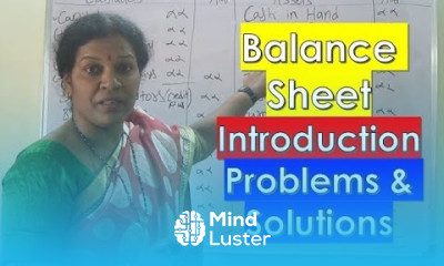 Balance Sheet Introduction Problems Solutions