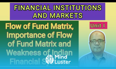 Financial Institutions and Markets I Unit 1 I Part 4 I Flow of Fund Matrix I Hasham Ali Khan