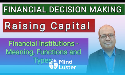 Financial Decision Making I Raising Capital I Financial Institutions I Theory I Hasham Ali Khan