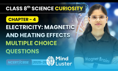 Electricity Magnetic Heating Effects Multiple Choice Question Class 8 Science Curiosity Ch 4