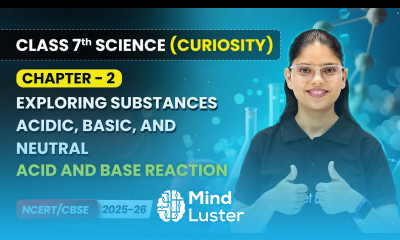 Acid and Base Reaction Chapter 2 Class 7th Science Curiosity CBSE 2025 26