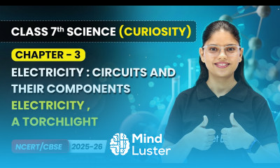 Electricity A Torchlight Chapter 3 Class 7 Science Curiosity CBSE 2025 26
