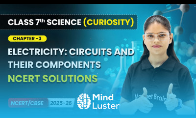 Electricity Circuits their Components NCERT Solutions Chapter 3 Class 7 Science Curiosity