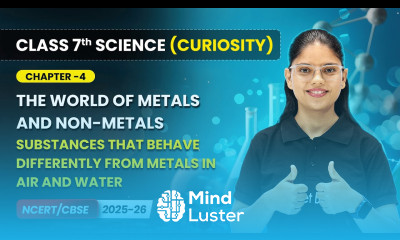 Substances that Behave Differently from Metals in Air and Water Ch 4 Class 7 Science Curiosity