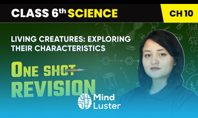 Living Creatures Exploring their Characteristics One Shot Revision Class 6 Science Chapter 10