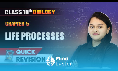 Life Processes Quick Revision Class 10 Biology Chapter 5 CBSE 2024 25