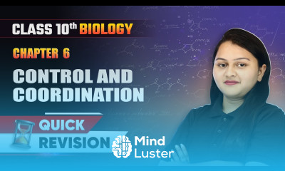 Control and Coordination Quick Revision Class 10 Biology Chapter 6 CBSE 2024 25