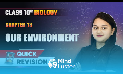 Our Environment Quick Revision Class 10 Biology Chapter 13 CBSE 2024 25