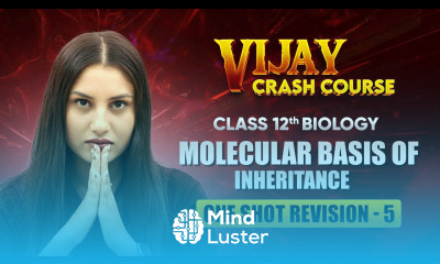 Molecular Basis of Inheritance One Shot Revision Part 5 Class 12 Biology Chapter 5 live