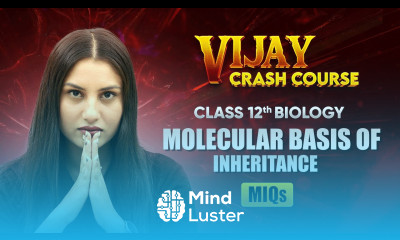 Molecular Basis of Inheritance Most Important Questions Class 12 Biology Chapter 5 live