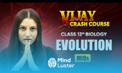 Evolution Most Important Questions Class 12 Biology Chapter 6 Vijay Crash Course 2024 25