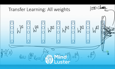 Transfer Learning in Hindi