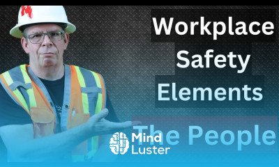 Workplace SAFETY Elements Inspecting the work and workers