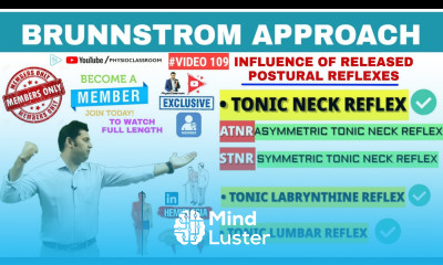 INFLUENCE OF RELEASED POSTURAL REFLEXES ON MOVEMENT PERFORMANCE IN HEMIPLEGIA PATIENTS