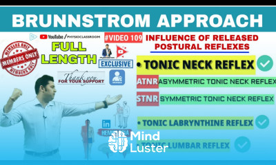 INFLUENCE OF RELEASED POSTURAL REFLEXES ON MOVEMENT PERFORMANCE IN HEMIPLEGIA PATIENTS