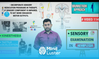 BRUNNSTROM SENSORY TESTING PROCEDURE FOR STROKE HEMIPLEGIA PATIENTS