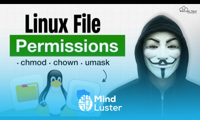 Why Are File Permissions Important In Linux Explained Simply