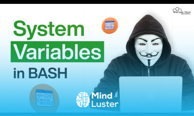 Practice Shell Scripting System Defined Variables Made Easy