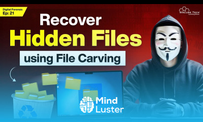 Recovering Files Without Metadata The Power of File Carving Techniques Explained Ep 21