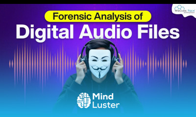 How to Analyze Digital Audio Forensically Expert Tips Techniques