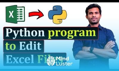 Python Program edit 1000s of Excel Files