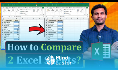 How to Compare Two Excel Sheets and find differences