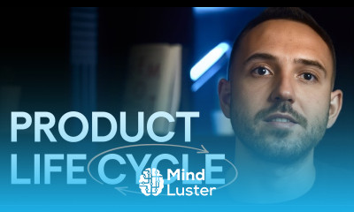 Product Life Cycle Explained Stages Strategies and Examples