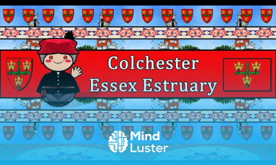 The Sound of the Colchester Essex Estruary dialect accent Numbers Words UDHR