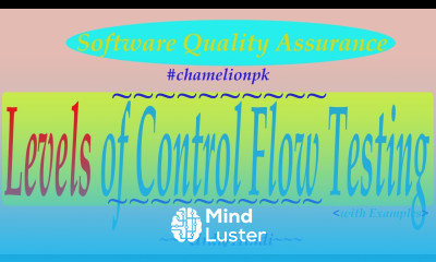 Lecture 11b 2 Levels of Control Flow Testing Whitebox Technique