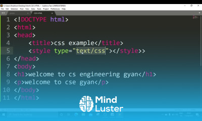 2 1 Explain CSS Cascading Style Sheet in Html in website designing Learn Website design in Hindi
