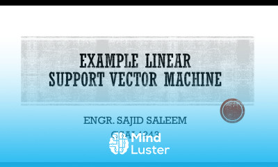 Linear Support Vector Machine step by step numerical example
