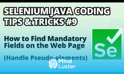 Selenium Java Coding Tips Tricks 9 How to Find Mandatory Fields on the Page Pseudo elements