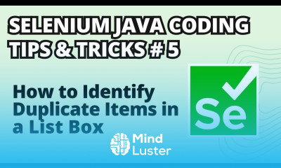Selenium Java Coding Tips Tricks 5 How to Identify Duplicate Items in a List Box