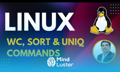 Part 6 Unix Linux for Testers wc sort uniq Commands
