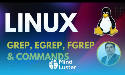 Part 11 Unix Linux for Testers grep egrep fgrep commands