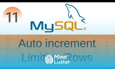 SQL Tutorial 11 Auto Increment Limit