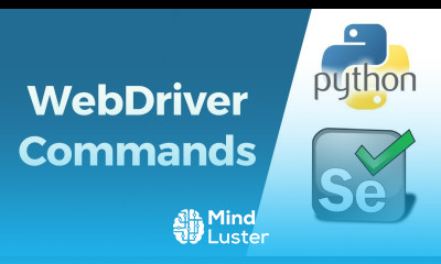 Selenium with Python Tutorial 3 WebDriver Commands