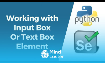Selenium with Python Tutorial 8 Working with Input box Test Box