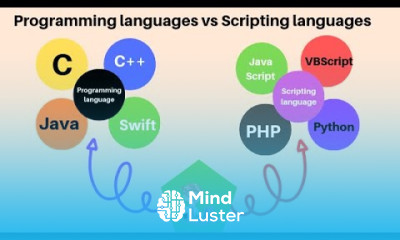Programming Languages vs Scripting Languages