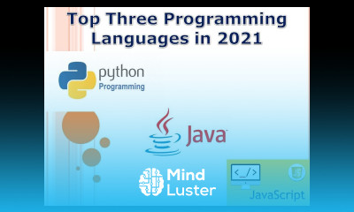 Top Three Programming Languages in 2021