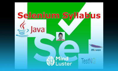 1 Selenium Tutorial I Introduction 1 Selenium Syllabus