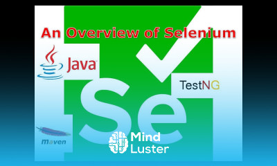 2 Selenium Tutorial I Introduction 2 An Overview of Selenium