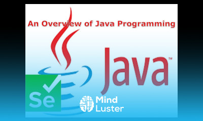 4 Selenium Tutorial II Java for Selenium 2 An Overview of Java Programming