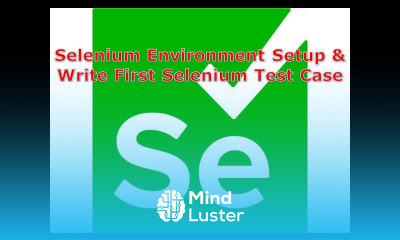 Selenium Test Environment Setup Write First Selenium Test Case